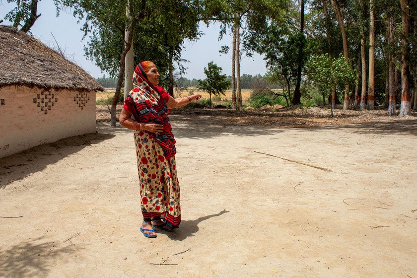 Right: Malti Awasthi recalls how the Sai rode right up to the courtyard of her home, some 100 metres from the riverbed