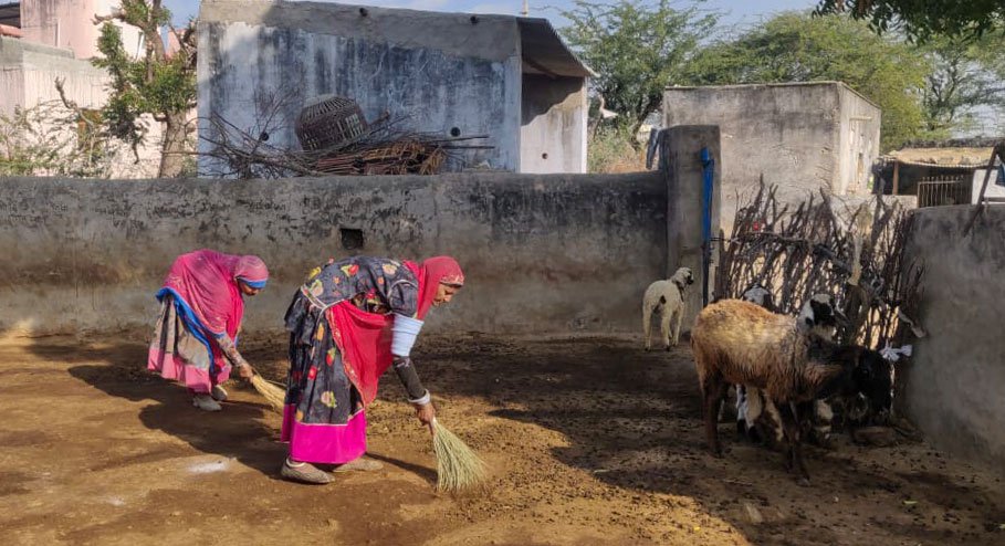 Right: Sita Devi and her mother Shayari Devi sweep their baada to collect the animal excreta after the herd has left for the field