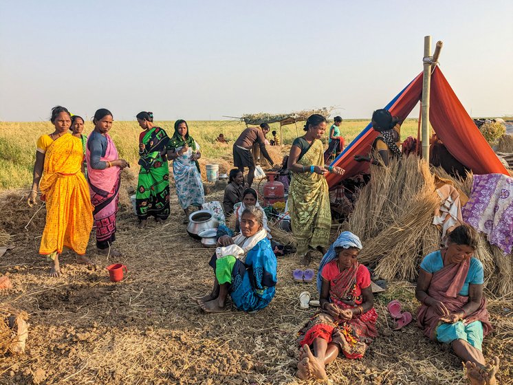 Migrant women labourers resting after harvesting pulses in Mokameh Taal in Bihar