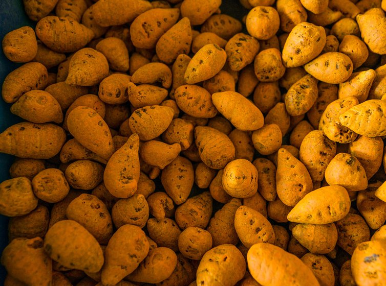 Trays with the lots of turmeric fingers and bulbs displayed at an auction in the regulated market in Perundurai, near Erode