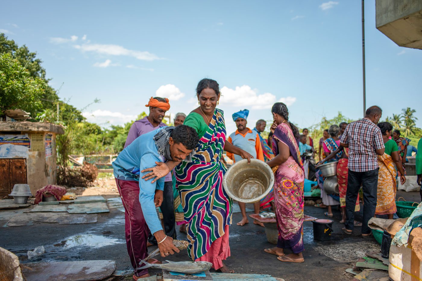 In Cuddalore Harbour: The Woman And The Sea