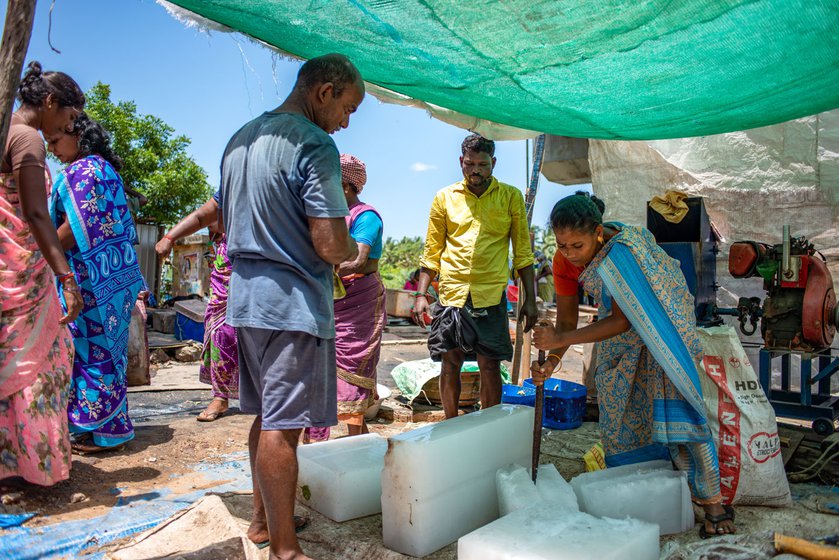 They bring the ice blocks to the fish market (left), where they crush them (right)