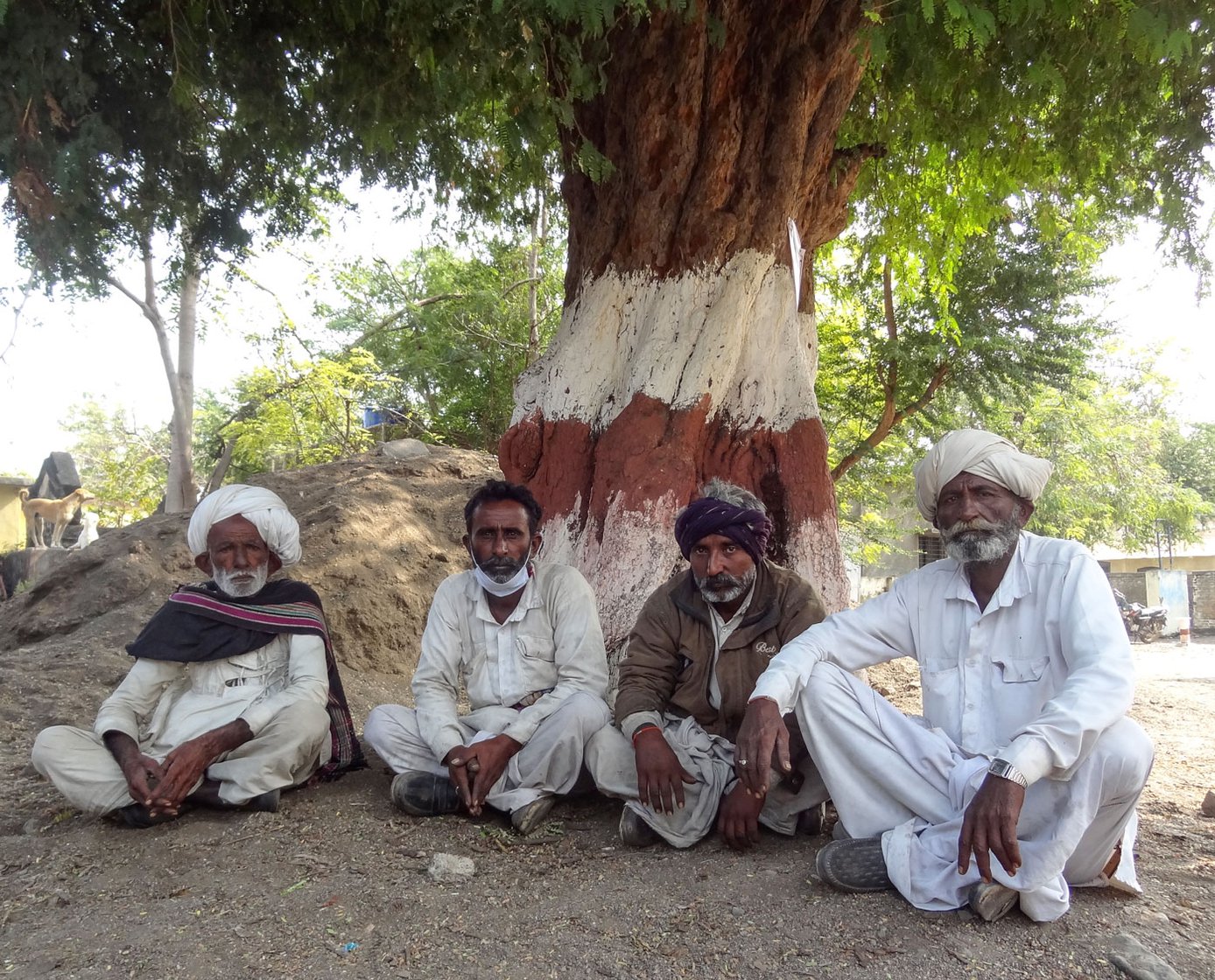 Four of the traditional herders from Kachchh – Versibhai Rana Rabari, Prabhu Rana Rabari, Visabhai Saravu Rabari and Jaga Hira Rabari (from left to right) – who were arrested along with Musabhai Hamid Jat on January 14 and then released on bail