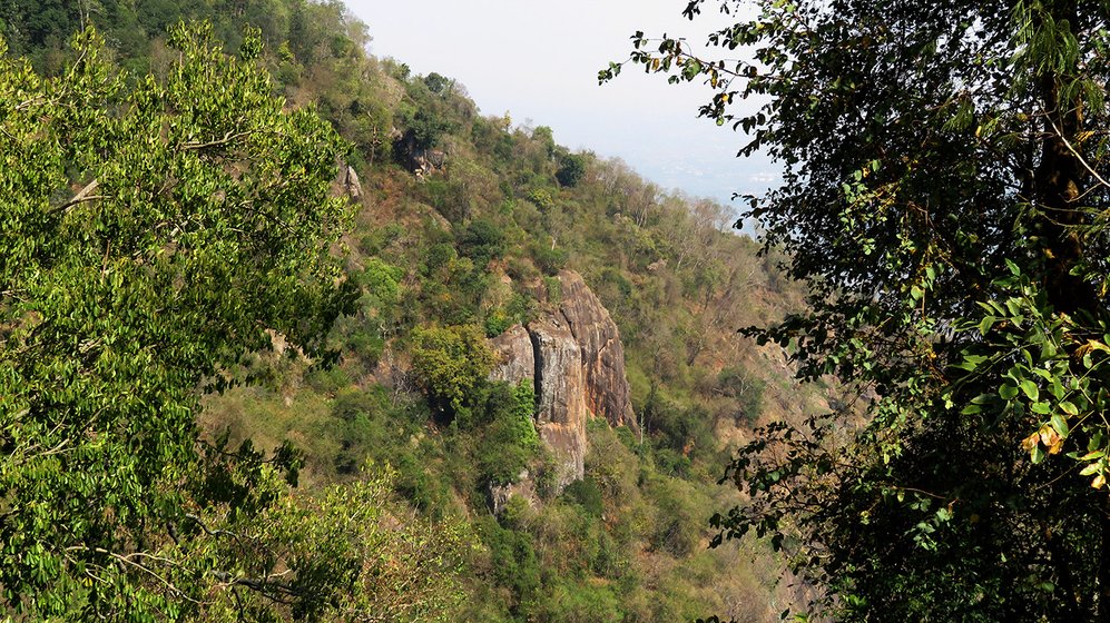 The cliff where a Kurumba honey gatherer fell to his death several years ago