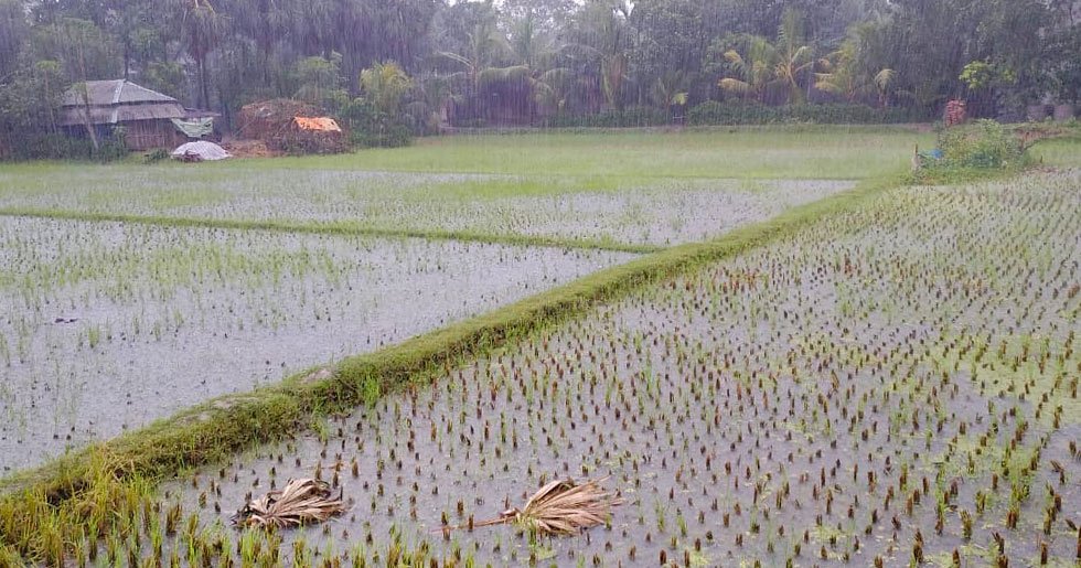 Farmers in Chak Lachhipur village, including Abdul's eldest brother, suffered huge losses due to Cyclone Amphan

