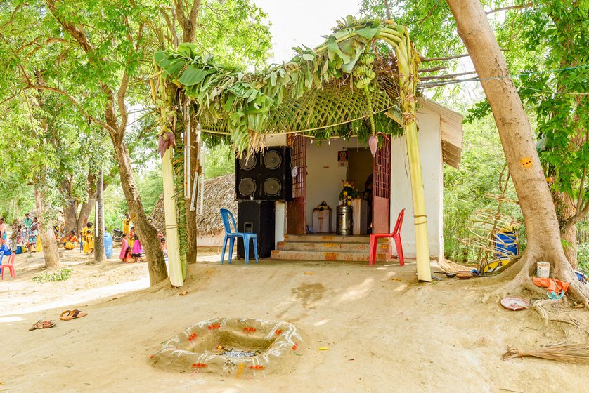 Left: The Om Sakthi temple set up by P. Gopal on the outskirts of Bangalamedu. The temple entrance is decorated with coconut fronds and banana trees on either sides, and has a small fire pit in front of the entrance.