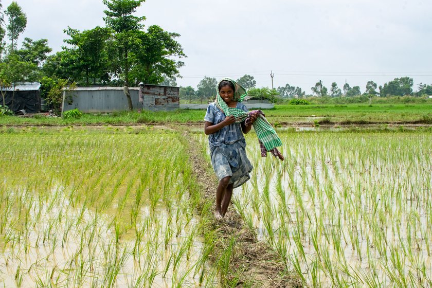 In August 2020, when the kharif plantation of paddy was on, Laxmi (left) had enlisted Shibani's (right) help to work in the fields