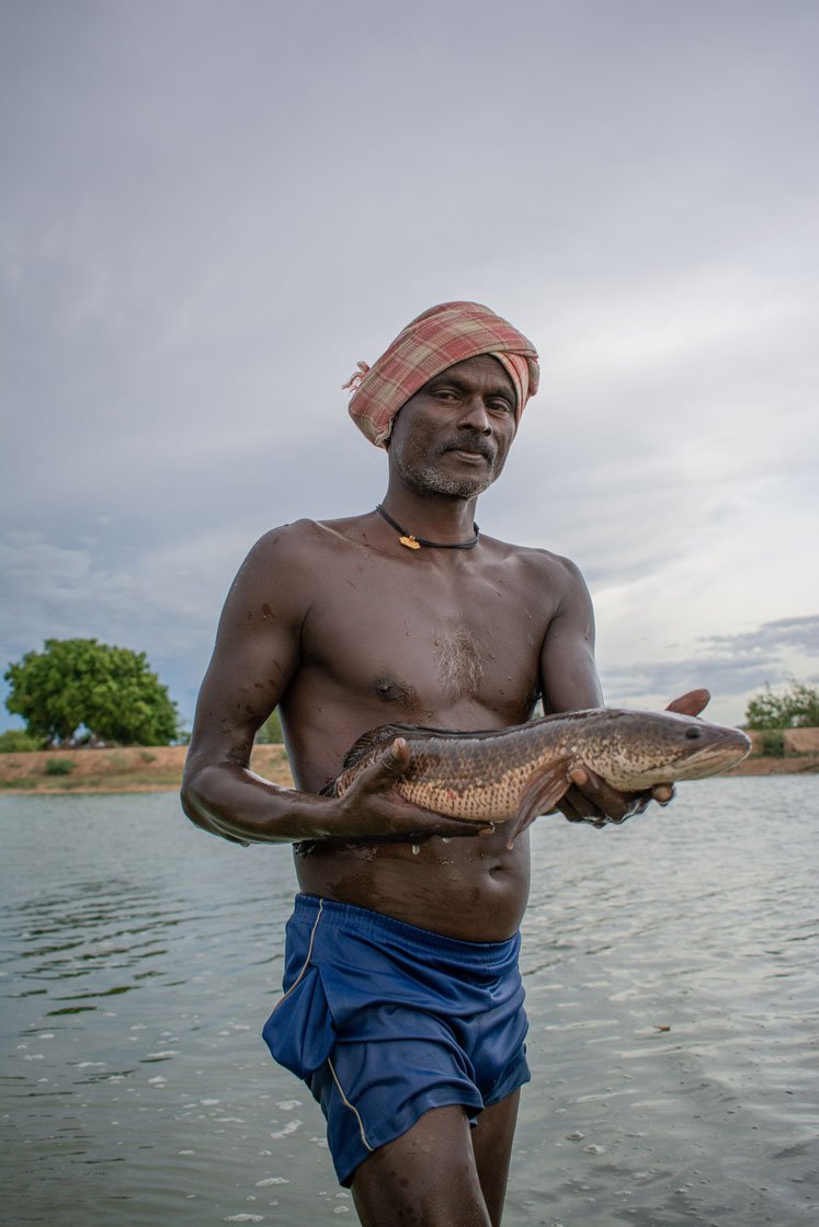 Amazing Man Catch Fish Using Bamboo Trap Fishing - How to Catch Fish In My  Village 