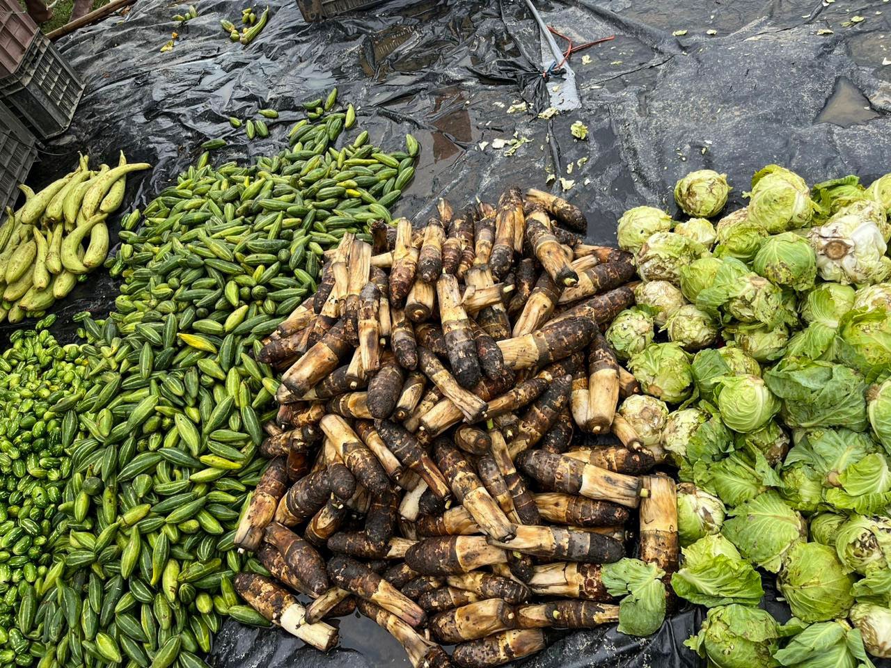 Kacchu (taro root), cabbages, various gourds and leafy vegetables, garlic, pumpkin and the famous king chilli or bhut jolokia are some of the vegetables sold at the market