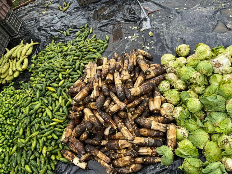 Kacchu (taro root), cabbages, various gourds and leafy vegetables, garlic, pumpkin and the famous king chilli or bhut jolokia are some of the vegetables sold at the market