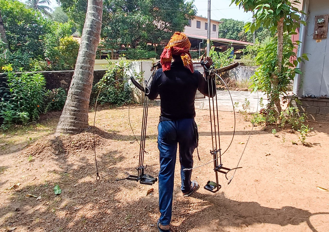 Humayun’s climb up the coconut tree