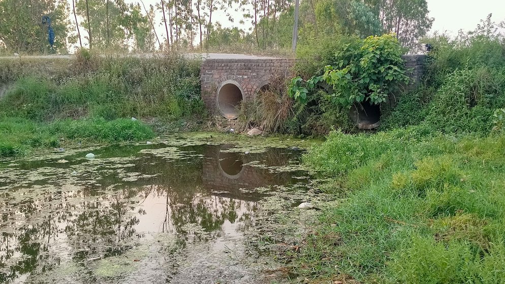 The local pond (left) in Nagala is about 500 meters away from Vidha's home