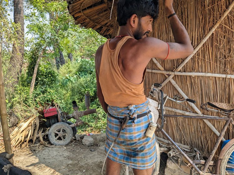 Left: Preparing to climb, Ajay ties a darbas (a belt-like strip) very tightly around his waist. " The darbas has to be tied so securely that even with 10 litres of sap it won’t budge,” he explains.