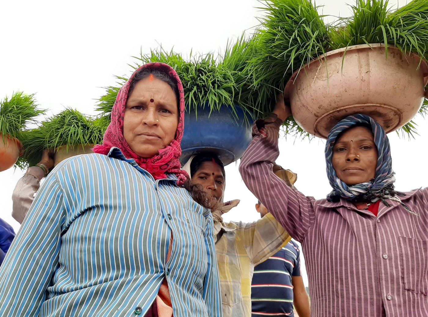 'Everyone needs food to eat', said Sabita Sahu', a contractor from Darri village. 'If we will fear corona, we will not able to work'