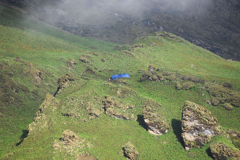 The camps of keeda jadi pickers in alpine meadows of Satper in Pithoragarh