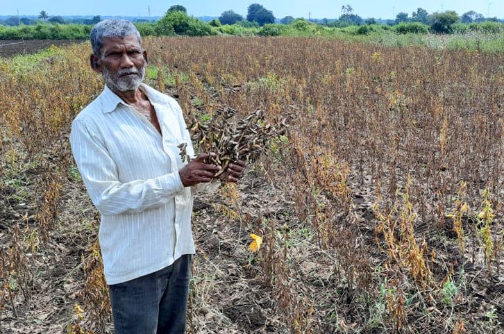 Left: Bibhishan's soybean fields inundated with rainwater in October last year. Right: Another devastated farm in Wadgaon (file photo)