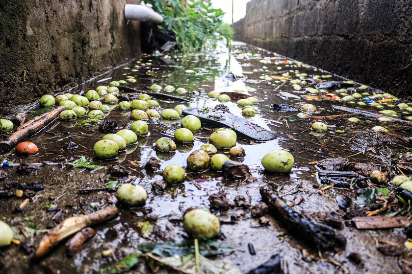The floods of 2019 destroyed sugarcane fields (left) and harvested tomatoes (right) in Khochi, a village adjacent to Bhendavade in Kolhapur district