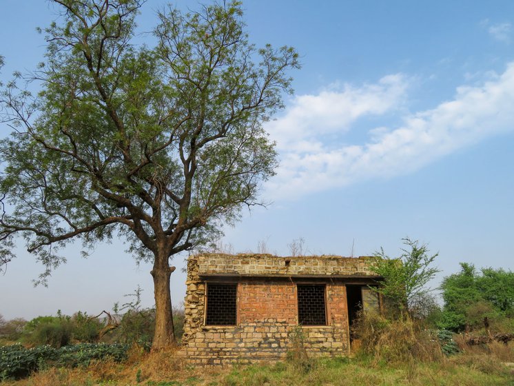 Sultan Jatav's old school in Paira, deserted 23 years ago