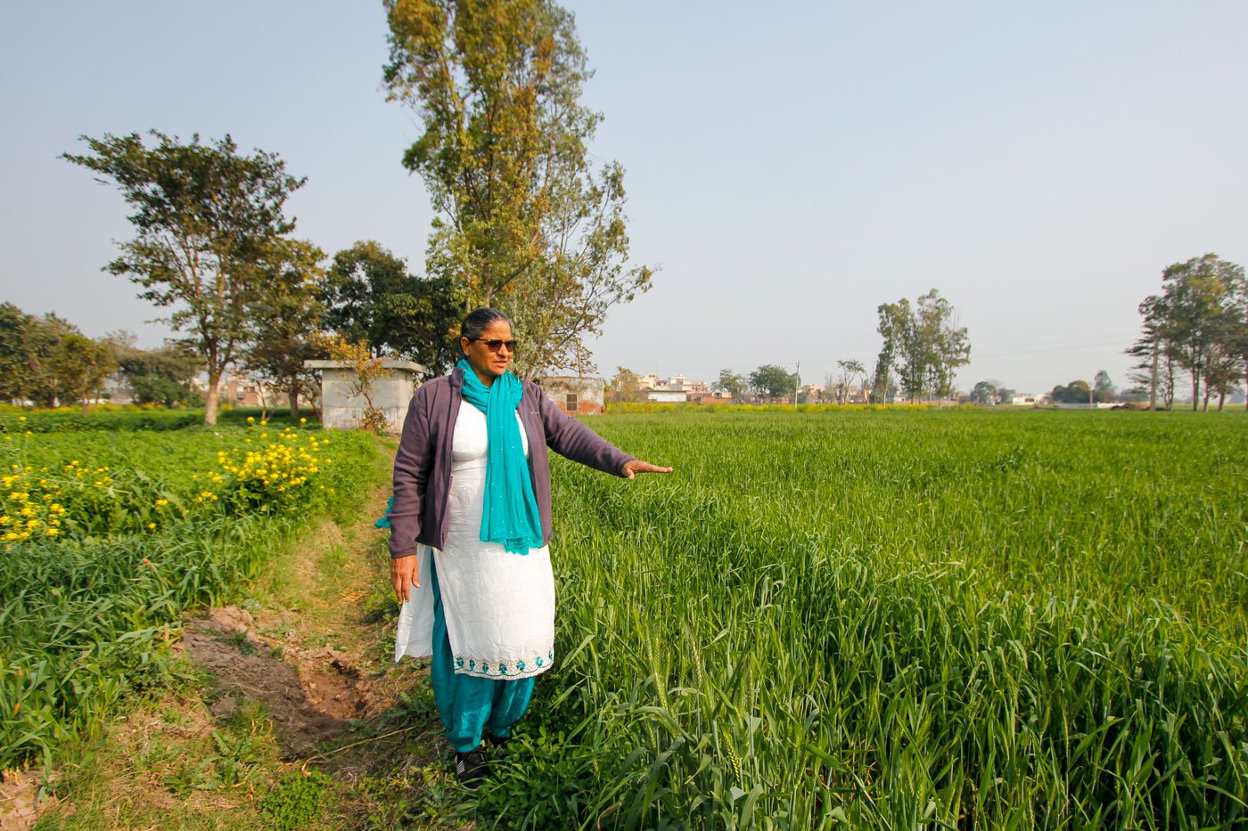 Harjeet walking through the village fields