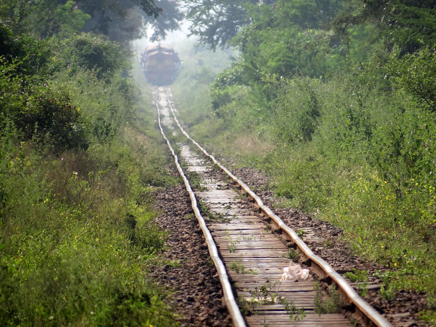 Kendri to Dhamtari train