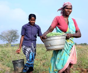 Two women carrying vegetables to the farm
