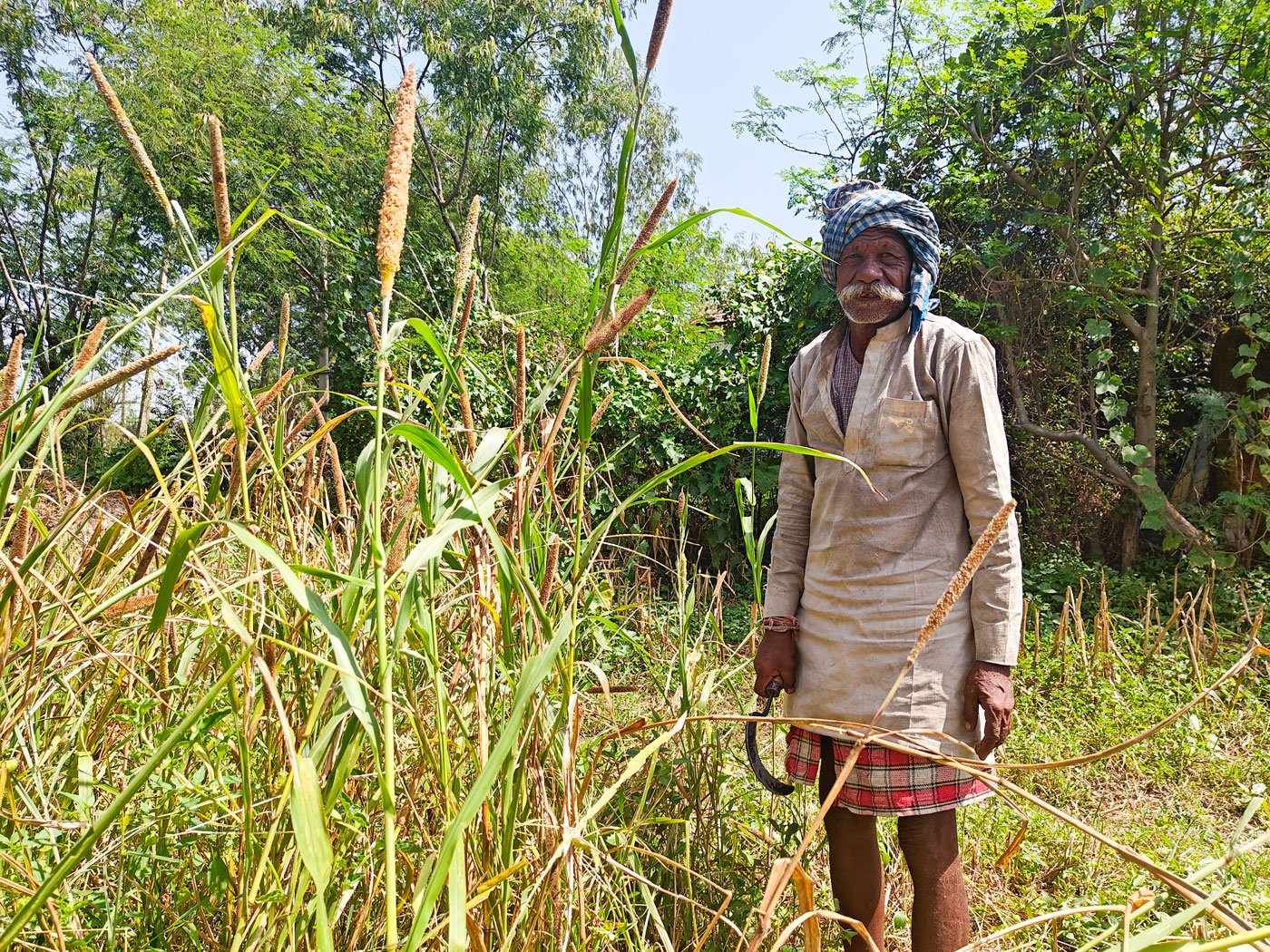 Jamnalal's family belongs to the Sahariya Adivasi tribe. He is seen here chopping soyabean in Dhanoriya.