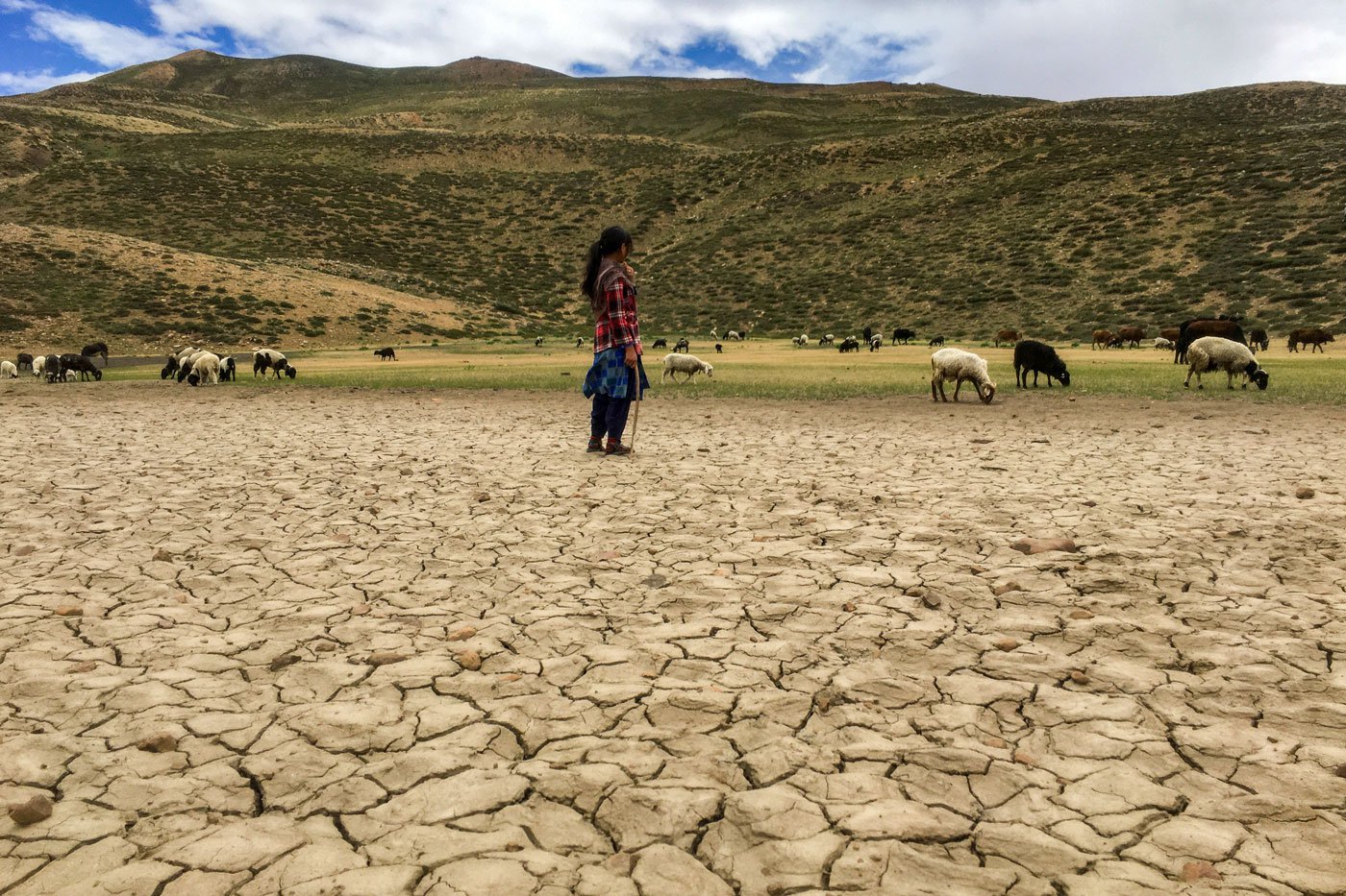 Chhering’s daughter Tanzin Lucky sometimes travels with the animals. “Lack of water causes the earth to dry and crack over time,” said Chhering