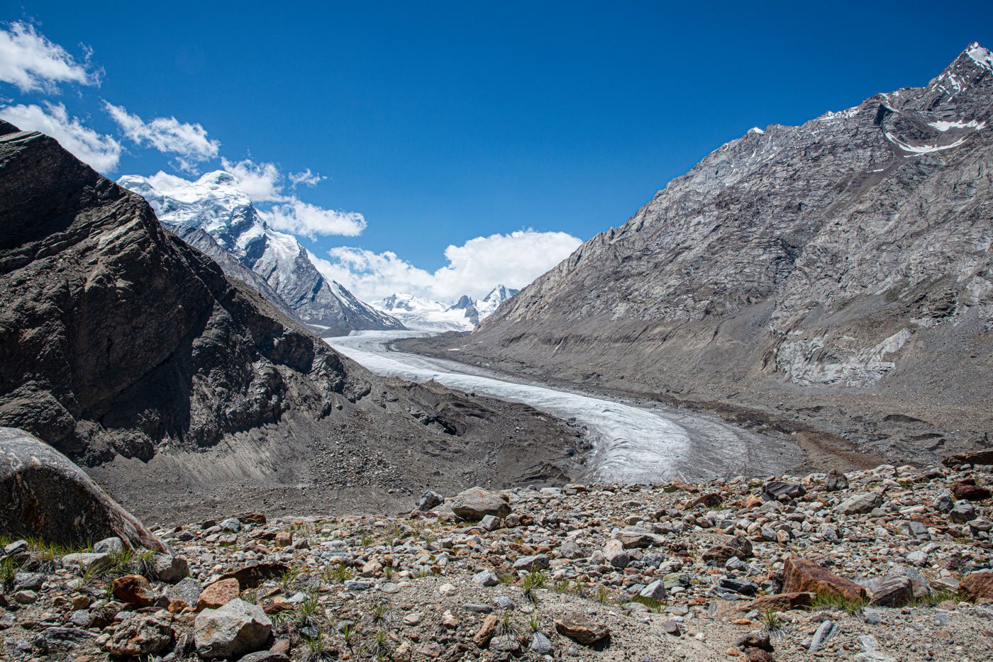 Zanskar’s yak herders are feeling the heat