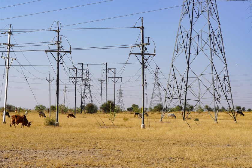 Left: High tension wires act as a wind barrier for birds. The ground beneath them is also pulsing with current.