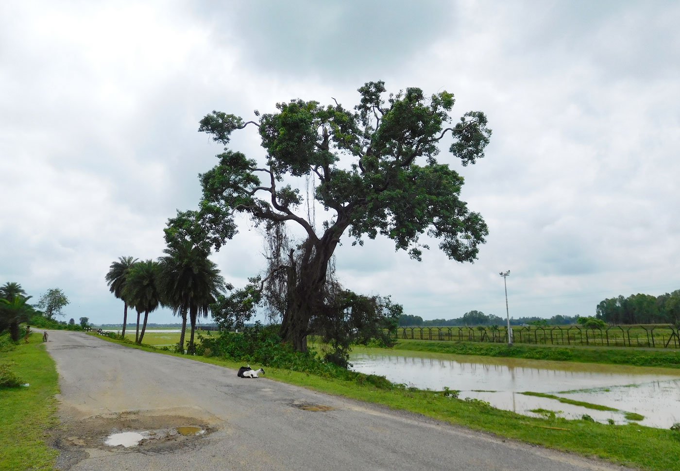 in-meghalaya-cultivating-at-the-country-s-edge