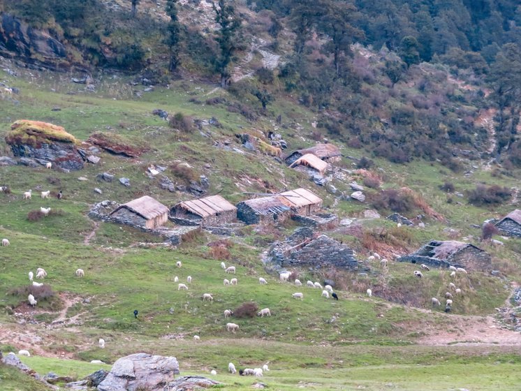 Crude stone dwellings called channi, mostly used for cattle, are found across the region.