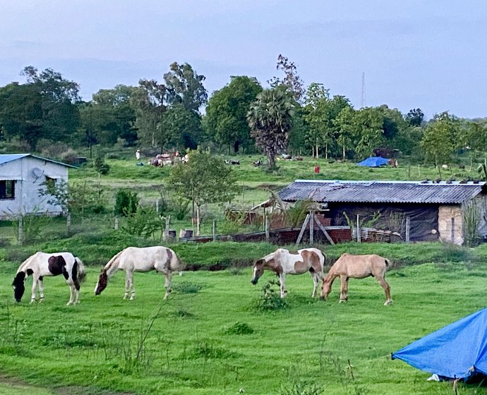 While travelling, this group – which includes Gangadhar (left) and Ratan Kurhade – carries enough rations on their horses to last nearly a month

