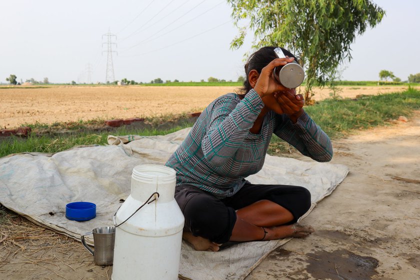 Jasdeep drinking water to cool down. Working conditions in the hot summer months are hard and the labourers have to take breaks