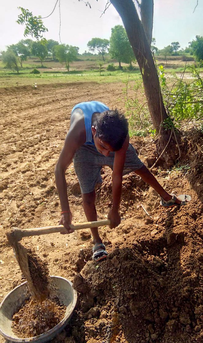 Shivam (left) and Birendra: On the family 2.5 acres of land in Binaura village, they are cultivating til, bhindi and urad dal

