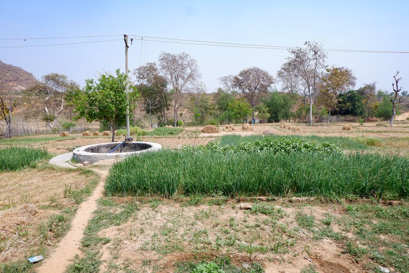 Right: The family depended on the water of the well behind their house for agricultural use