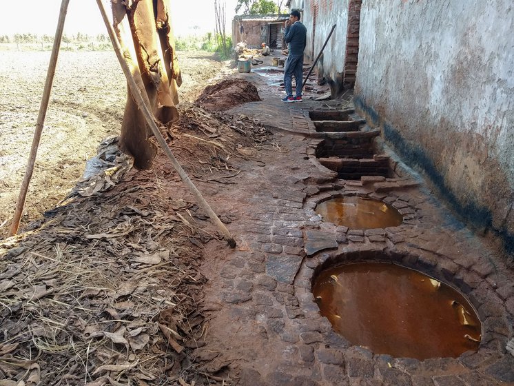 Right: Bharat near the water pits. He says, 'the government constructed amenities for all stages of tanning here'