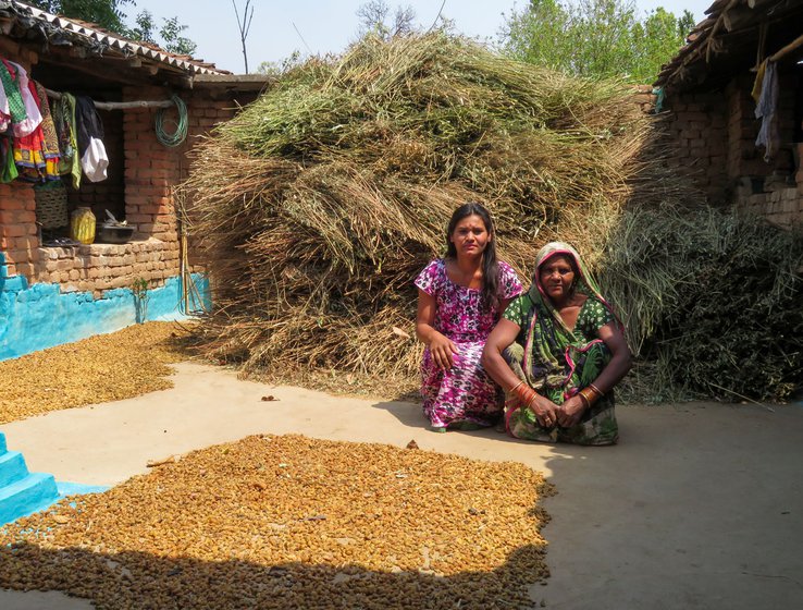 Left: Chandabai Baiga (in the green saree) and her relatives returning from the forest after gathering mahua. Right: Dried flowers in Chandabai's home