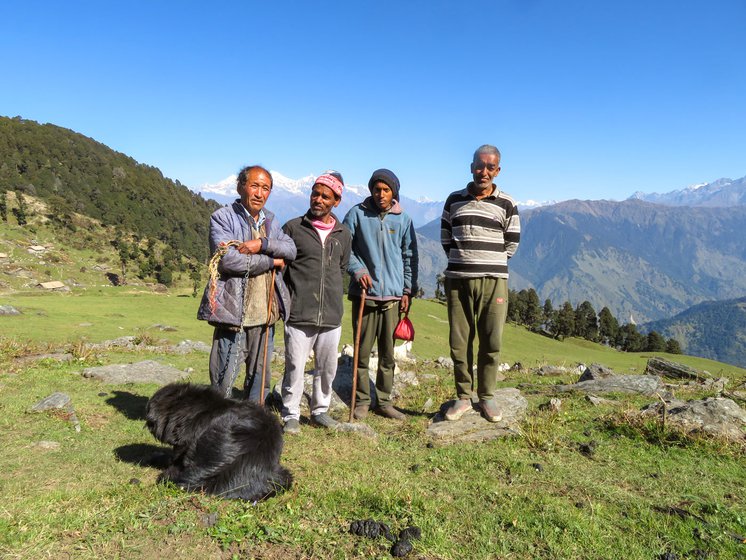 The herders (from left): Hardev Singh Thakur, Guru Lal, Vikas Dhondiyal and Gaur Singh Thakur, with Sheroo, their guard dog