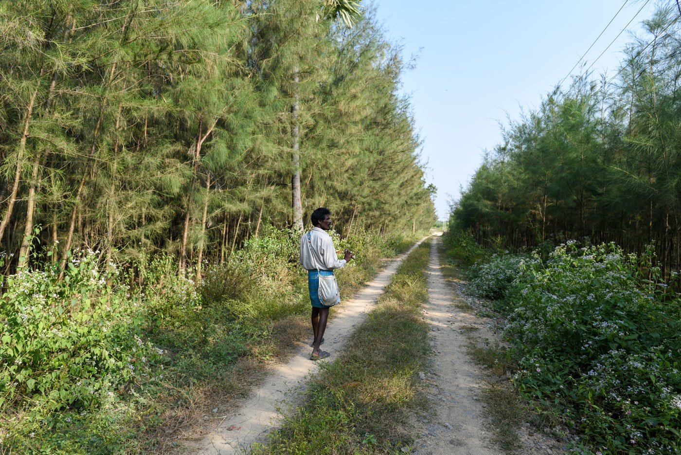 On a different route with rats in Bangalamedu