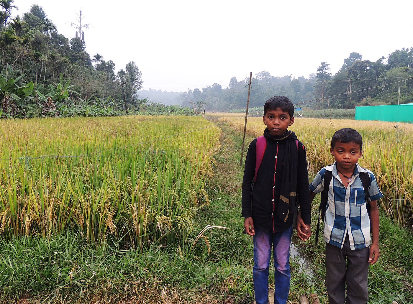 the-forest-in-shanthi-teacher-s-classroom