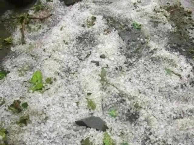 2014 hailstorm damage from the same belt of Latur mentioned in the story 