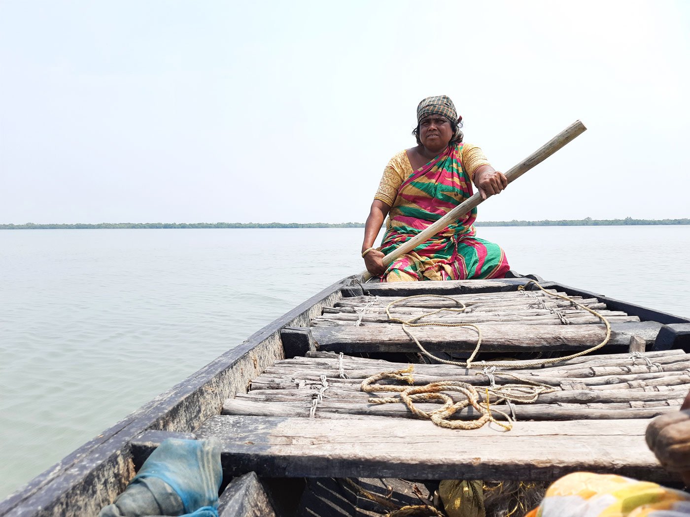 Hunting for crabs in the shadow of the Bengal tiger