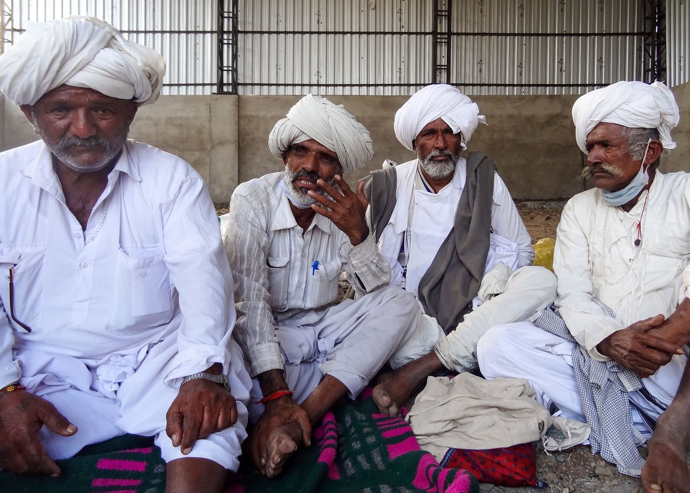 Jakara Rabari and Parbat Rabari (first two from the left), expert herders from Umred in Nagpur district, with their kinsmen in Amravati.They rushed there when they heard about the Kachchhi camels being taken into custody