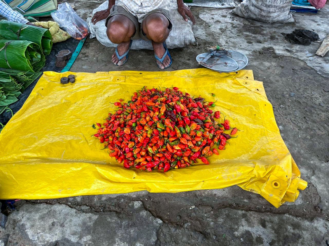 These thumb-sized red chillies, once named hottest in the world, are known by many names: king chillies, ghost peppers, bhut jolokia and bongan hingbu