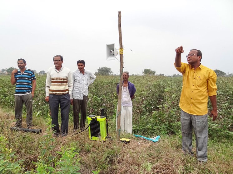 Ramesh Sarode (white sweater), Suresh Renghe (yellow shirt) and other farmers in Mangi have found a novel way to keep out wild animals. They switch on a gadget connected to a loudspeaker and wired to a solar-powered spray-pump’s batteries through night. The gadget emits animal sounds – dogs barking, tiger roaring, birds chirping, in a bid to frighten the raiding herbivores.