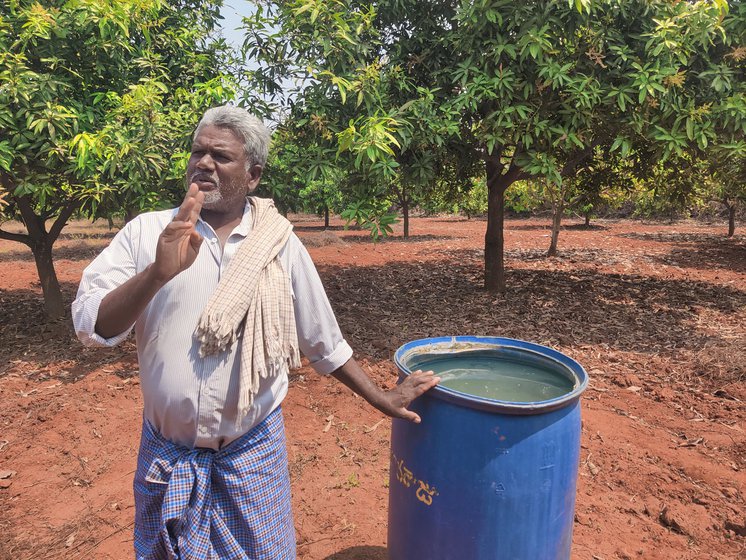 Left: With no borewells on his farm, Nagaraju gets water from tanks which he stores in blue drums across his farms. Right: Raju's farm doesn't have a borewell either. He spends Rs. 20000 in a year for irrigation to care for his young trees
