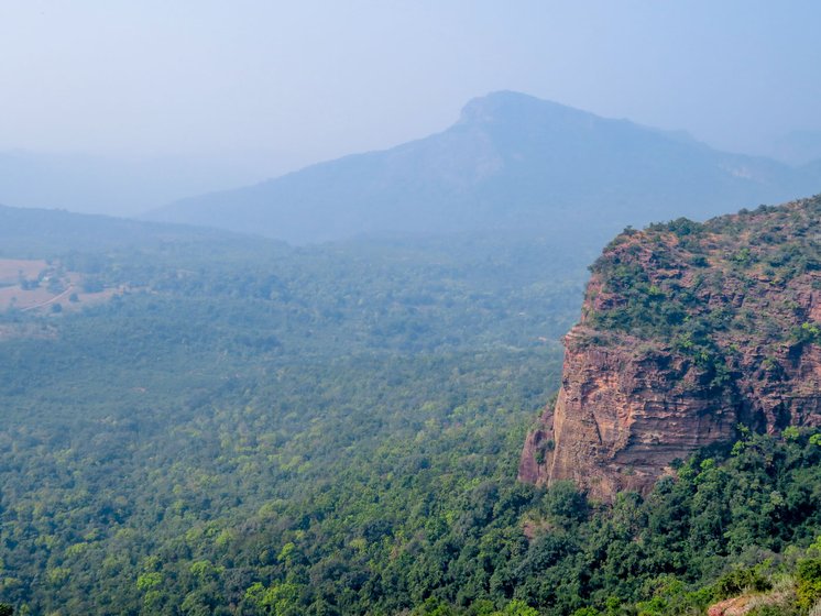 Ant hills in the Satpura tiger reserve of MP. 'Deforestation and fragmentation coupled with climate change are leading to disturbed habitats', says Dr. Himender Bharti, India’s ‘Ant Man’