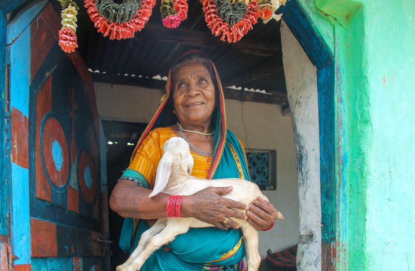 Ropi's family has a small goat-rearing business, and they also cultivate two acres. Her earning as a dai remain modest, and have not improved greatly over the decades