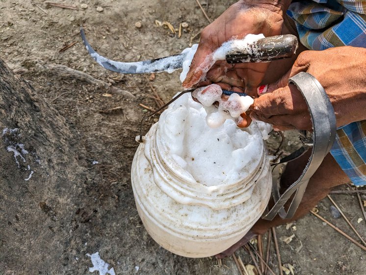 Ajay will transfer the fresh toddy which has a lather of white foam to a bigger plastic jar fixed to his bicycle