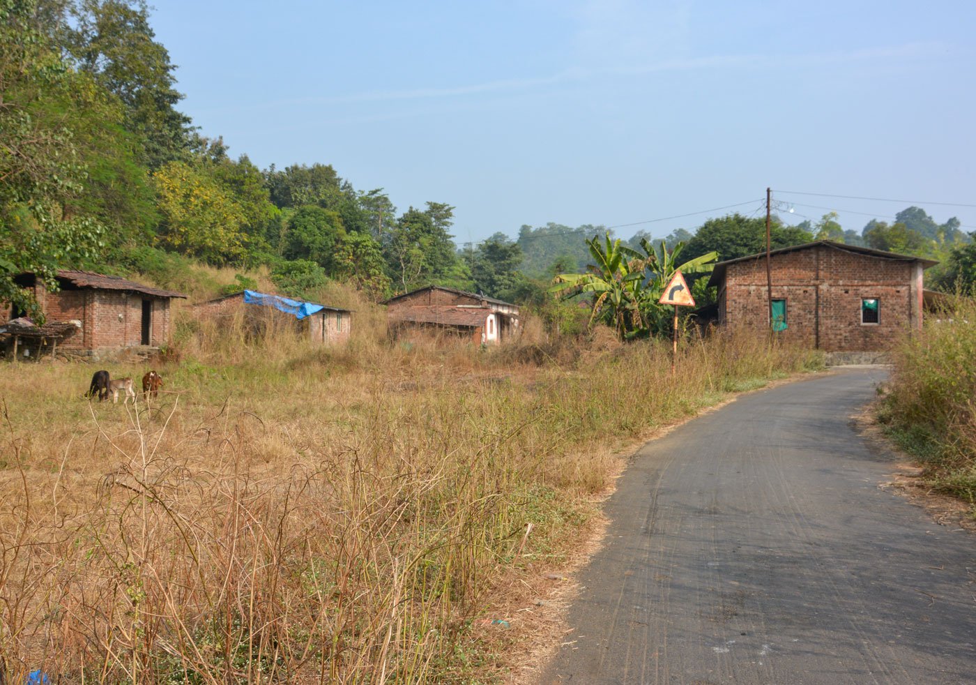 A Palghar village battles a national highway